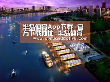 案例展示八