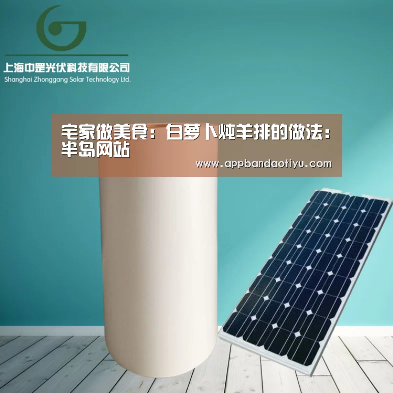 宅家做美食:白萝卜炖羊排的做法:半岛网站(图2) 半岛网站官网