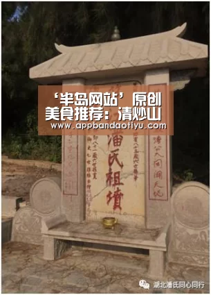 半岛网站