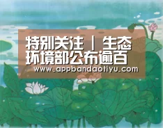 半岛网站官网