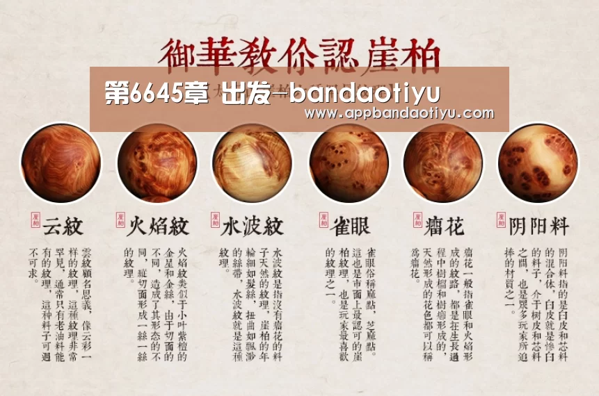 第6645章 出发-bandaotiyu(图3) 半岛网站