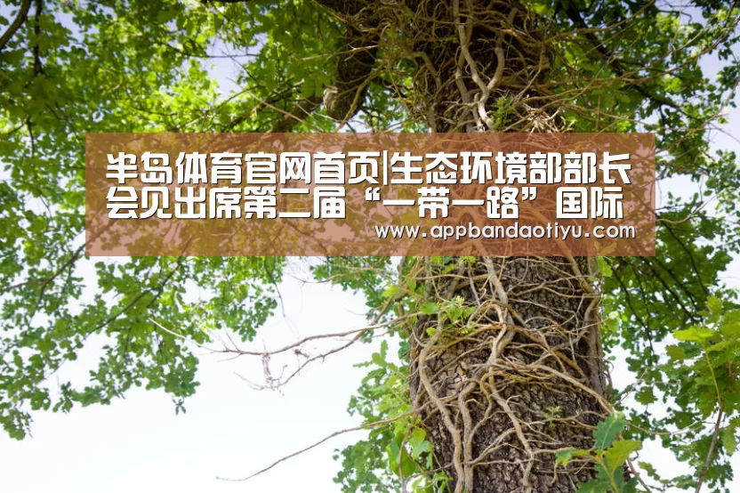 半岛体育官网首页|生态环境部部长会见出席第二届“一带一路”国际合作高峰论坛绿色之路分论坛多位外方嘉宾(图1) 半岛体育官网首页|生态环境部部长会见出席第二届“一带一路”国际合作高峰论坛绿色之路分论坛多位外方嘉宾(图1)