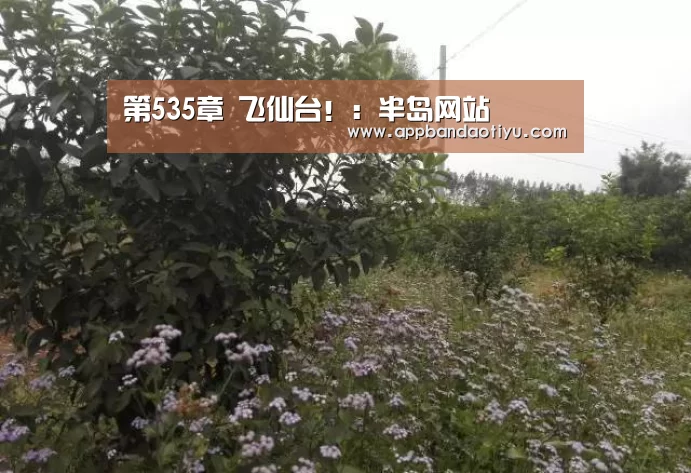 半岛体育官网首页